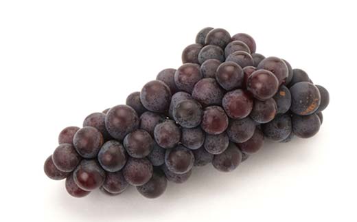 《2026年先行予約》山形県産 太陽燦々★スチューベン 約2kg 葡萄 ぶどう フルーツ 果物 くだもの 山形県 中山町 F4A-0434