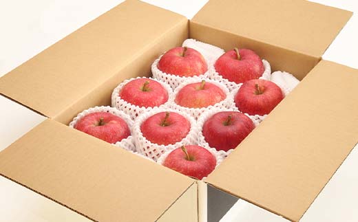 2026年度先行予約 山形県産 太陽燦々★サンふじりんご 約3kg（7～13玉）りんご 林檎 フルーツ 果物 くだもの 山形県 中山町 F4A-0437