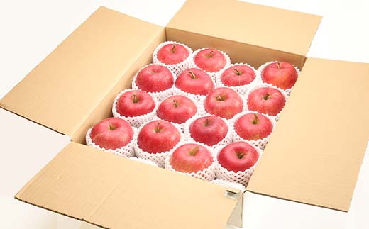 2026年度先行予約 山形県産 太陽燦々★サンふじりんご 約5kg（13～20玉） りんご 林檎 フルーツ 果物 くだもの 山形県 中山町 F4A-0438