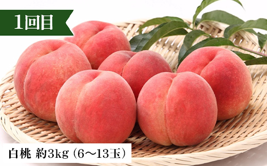2026年先行予約 【定期便 3回】桃から始まる満足定期便(1) 桃 もも 白桃 すもも 秋姫 シャインマスカット 果物 フルーツ 山形県 中山町 F4A-0451