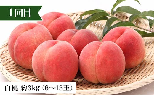 2026年先行予約 【定期便 4回】桃から始まる満足定期便(2) 桃 もも 白桃 すもも 秋姫 シャインマスカット 果物 フルーツ 山形県 中山町 F4A-0452