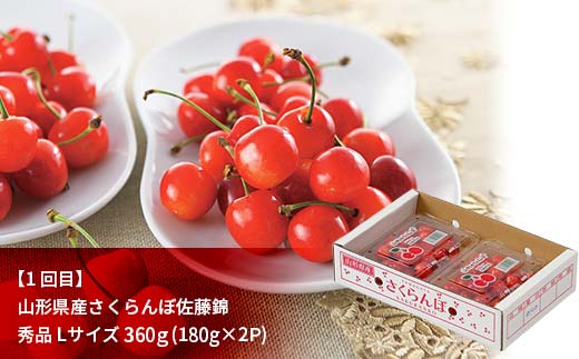 先行予約 2026年度発送【定期便3回】山形県産佐藤錦・白桃・りんご  F4A-0990