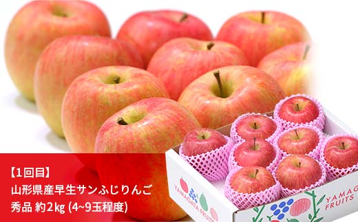 先行予約 2026年度発送【定期便3回】山形県産りんご三昧（早生サンふじ・シナノスイート・サンふじ）  F4A-0991