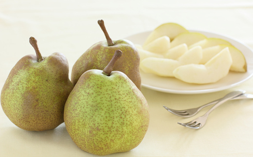 【ふるさと納税】山形県産ラ・フランス 特秀5kg(13～18玉) 11月上旬から発送開始 果物 くだもの フルーツ ラフランス 洋梨 西洋梨 洋ナシ洋なし 秋果実 F4A-0253