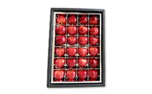 【2026年産先行受付】山形県産 温室加温栽培さくらんぼ＜やまがた紅王＞ 特秀品厳選24粒 2L/3Lサイズ混合 サクランボ 果物 くだもの フルーツ 季節限定 F4A-0377