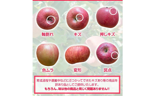 令和8年産 山形県産 サンふじりんご＜訳あり＞ 10kg 32玉～56玉 数量限定 林檎 リンゴ フルーツ 果物 くだもの 家庭用 山形県産 F4A-0380