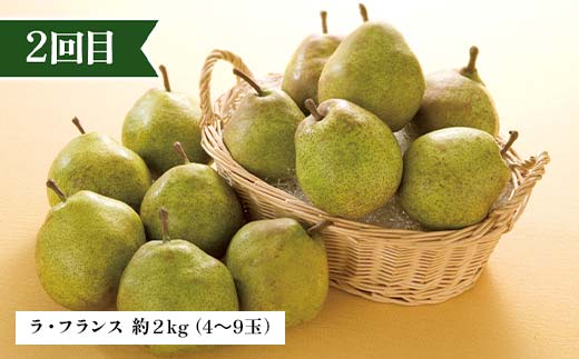 2026年先行予約 【定期便 3回】シャインマスカットから始まる満足定期便(1) シャインマスカット ラ・フランス 洋梨 梨 りんご サンふじりんご 果物 フルーツ 山形県 中山町 F4A-0449