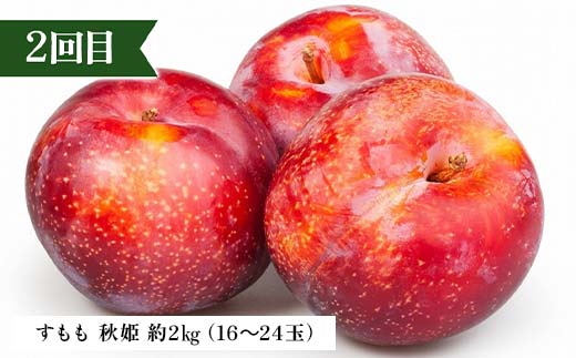 2026年先行予約 【定期便 4回】シャインマスカットから始まる満足定期便(2) シャインマスカット すもも 秋姫 柿 かき ラ・フランス 洋梨 梨 りんご サンふじりんご 果物 フルーツ 山形県 中山町 F4A-0450