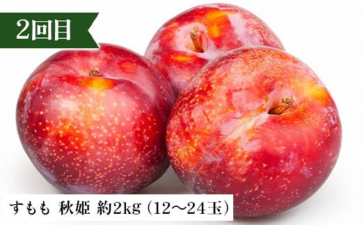 2026年先行予約 【定期便 3回】桃から始まる満足定期便(1) 桃 もも 白桃 すもも 秋姫 シャインマスカット 果物 フルーツ 山形県 中山町 F4A-0451