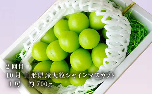 《2026年8月発送開始》山形県 至高のフルーツ！山形県秀逸フルーツ定期便 全3回 F4A-0455