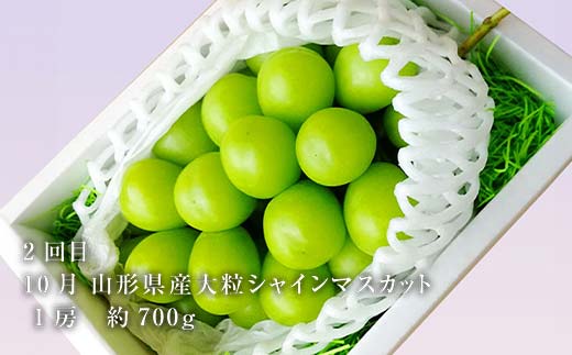 《2026年8月発送開始》山形県至高のフルーツ定期便！山形県至上のフルーツ定期便 全3回 F4A-0456