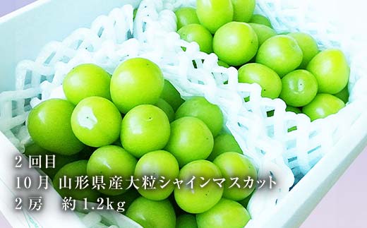 《2026年8月発送開始》山形県 至高のフルーツ！山形県極上フルーツ定期便 全3回 F4A-0457