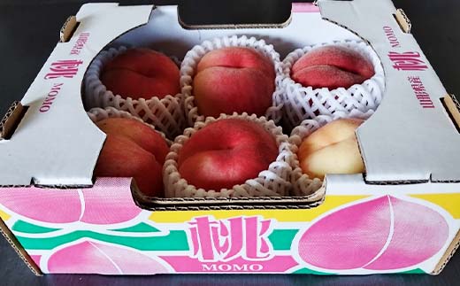 《2026年先行予約》山形県産白桃※品種玉数おまかせ 秀品 約1.5kg F4A-0459