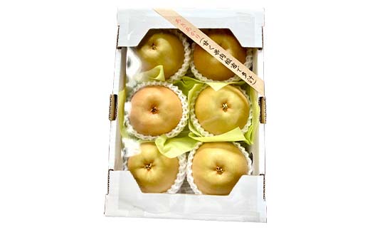 《2026年先行予約》山形県産 和梨 6玉 ※品種おまかせ 秀品 約1.8kg～2kg 梨 洋梨 フルーツ 果物 くだもの 山形県 中山町 F4A-0465