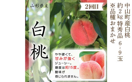 2026年6月発送開始 先行受付 山形県 至高のフルーツ！ 山形県中山町 秀逸フルーツ定期便 全3回 さくらんぼ 桃 ラ・フランス 山形県 中山町 F4A-0475