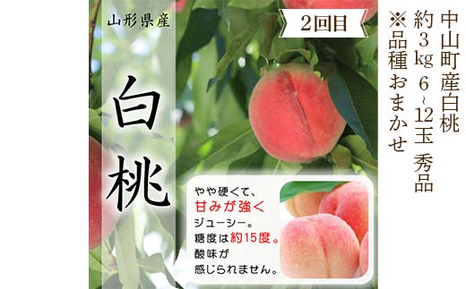 2026年6月発送開始 先行受付 山形県 至高のフルーツ！ 山形県中山町厳選フルーツ定期便 全4回 さくらんぼ 桃 シャインマスカット ラ・フランス 山形県 中山町 F4A-0477