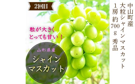 2025年8月発送開始 先行受付 山形県 至高のフルーツ！ 山形県中山町特選品フルーツ定期便 全3回 桃 シャインマスカット ラ・フランス 山形県 中山町 F4A-0478