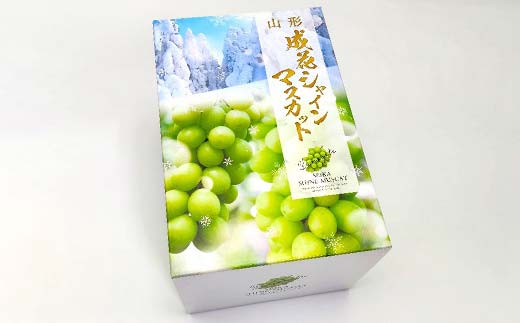 【2026年 先行予約】贈答用 シャインマスカット 約700g 1房 秀品 ぶどう 果物 フルーツ 山形県 中山町 F4A-0482