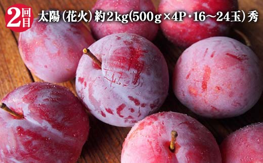 【2025年 先行予約】3回定期便 すもも らぶ便 果物 くだもの 山形県 中山町 F4A-0484