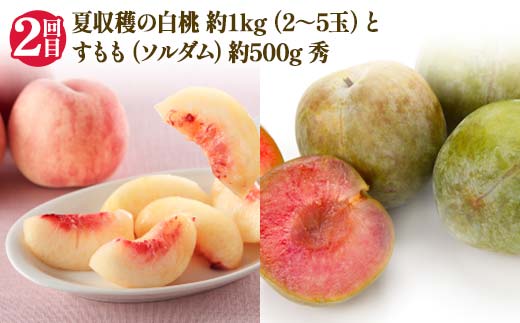 【2025年 先行予約】4回定期便 幸せを呼ぶ人気フルーツ6種便 さくらんぼ 桃 シャインマスカット ラ・フランス りんご 果物 くだもの 山形県 中山町 F4A-0487