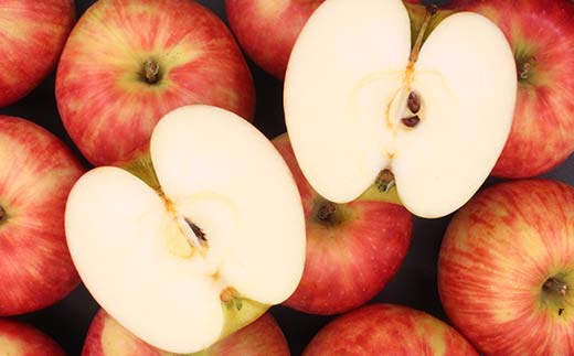 《2026年発送先行予約》山形県産りんご シナノスイート 約3kg 6～11玉 林檎 リンゴ 果物 くだもの フルーツ 山形県産 F4A-0916