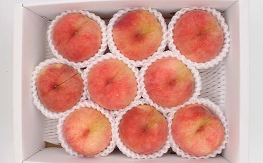 山形県産 訳あり白桃 約2.8kg 8～13玉 桃 もも フルーツ 家庭用 F4A-0924