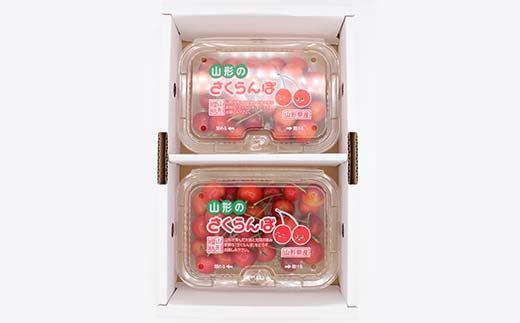 【先行受付】山形県産 さくらんぼ約180g×2P 品種おまかせ M以上 果物 くだもの フルーツ 夏果物 サクランボ F4A-0926