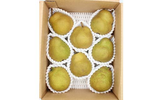 ラフランス約3kg 2～4L 8～11玉 らふらんす 果物 くだもの フルーツ 山形県産 F4A-0937