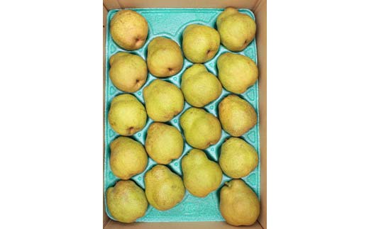 ラフランス約5kg 2～5L 14～18玉 らふらんす 果物 くだもの フルーツ 山形県産 F4A-0938