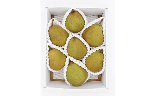 ラフランス約2kg L～4L 6～8玉 らふらんす 果物 くだもの フルーツ 山形県産 F4A-0939