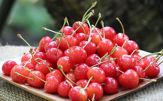 【先行受付】さくらんぼ佐藤錦 約700g（約350g×2P） L以上化粧箱 果物 くだもの フルーツ 夏果物 サクランボ F4A-0947