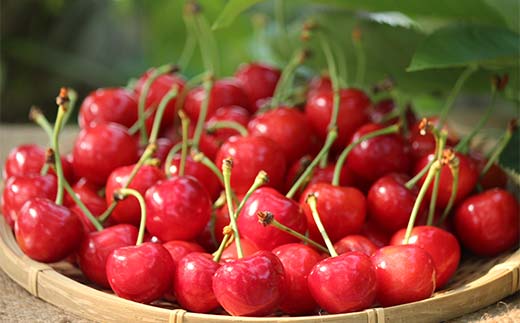 【先行受付】さくらんぼ紅秀峰 約700g 350×2 L～2L化粧箱 果物 くだもの フルーツ 夏果物 サクランボ F4A-0950