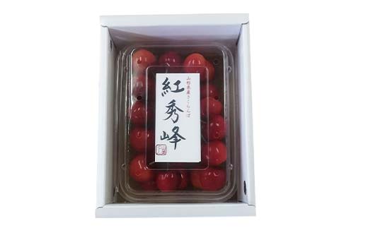 令和8年産【先行受付】山形県産さくらんぼ＜紅秀峰＞秀品 約300ｇ×1P Lサイズ以上 期間限定 数量限定 山形県産 サクランボ フルーツ 果物 くだもの 贈答 F4A-0962