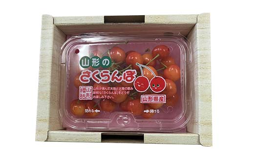 令和8年産【先行受付】山形県産さくらんぼ＜佐藤錦＞秀品 約300g×1P Lサイズ以上 期間限定 数量限定 山形県産 サクランボ フルーツ 果物 くだもの 贈答 F4A-0964