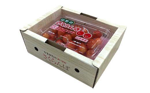 令和8年産【先行受付】山形県産さくらんぼ＜佐藤錦＞秀品 約200g×1P Lサイズ以上 期間限定 数量限定 山形県産 サクランボ フルーツ 果物 くだもの 贈答 F4A-0965
