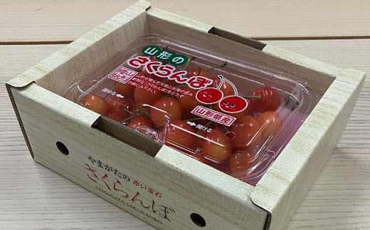 令和8年6月発送開始 山形県 厳選のフルーツ！ 山形県旬のフルーツ定期便Ａ 全3回 佐藤錦 白桃 ラフランス 期間限定 数量限定 山形県産 サクランボ 桃 梨 フルーツ 果物 くだもの 贈答 F4A-0968