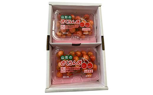 令和8年6月発送開始 山形県 厳選のフルーツ！ 山形県旬のフルーツ定期便Ｂ全3回 佐藤錦 白桃 ラフランス 期間限定 数量限定 山形県産 サクランボ 桃 梨 フルーツ 果物 くだもの 贈答 F4A-0969