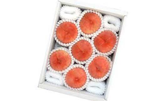 《2026年産 先行受付》山形県産 硬めの白桃 約2kg 品種おまかせ 果物 くだもの 桃 もも フルーツ 白桃 山形県産 F4A-0971