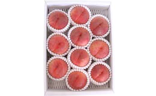 《2026年産 先行受付》山形県産 硬めの白桃 約3kg 品種おまかせ 果物 くだもの 桃 もも フルーツ 白桃 山形県産 F4A-0972