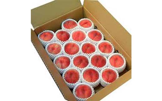 《2026年産 先行受付》山形県産 硬めの白桃 約5kg 品種おまかせ 果物 くだもの 桃 もも フルーツ 白桃 山形県産 F4A-0973