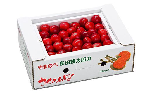 《2026年先行予約》【山形美人】 バラ詰 500g【やまのべ多田耕太郎のさくらんぼ 多田農園】期間限定 数量限定 山形県産 サクランボ フルーツ 果物 くだもの F4A-1003