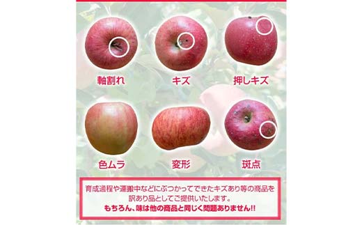 令和8年産 山形県産 サンふじりんご＜訳あり＞ 約5kg 13玉～25玉 数量限定 林檎 リンゴ フルーツ 果物 くだもの 家庭用 F4A-1004