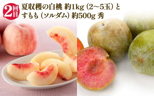 【2026年 先行予約】4回定期便 幸せを呼ぶ人気フルーツ6種便 さくらんぼ 桃 シャインマスカット ラ・フランス りんご 果物 くだもの 山形県 中山町 F4A-1017