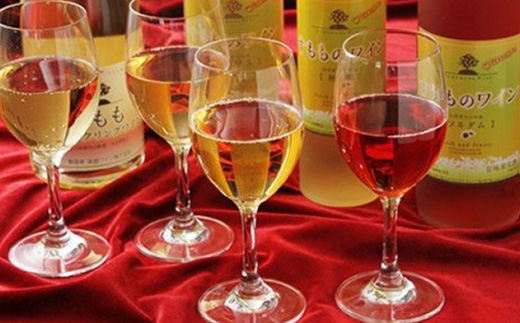 フルーティーさがたまらない！「すももワインセット」 アルコール お酒 果実酒 F4A-0056