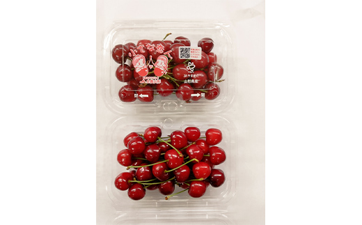 《2025年5月発送開始》中山町の至高！中山町厳選フルーツ定期便 全3回 紅さやか 白桃 シャインマスカット さくらんぼ サクランボ 葡萄 ぶどう ブドウ 桃 もも モモ 山形県産 フルーツ 果物 くだもの 連続 F4A-0373