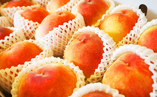 【2026年先行予約】山形県中山町産 白桃 秀品 5kg 品種おまかせ 軟らかくなる桃 12～20玉 もも モモ フルーツ 果物 くだもの 山形県産 F4A-0379