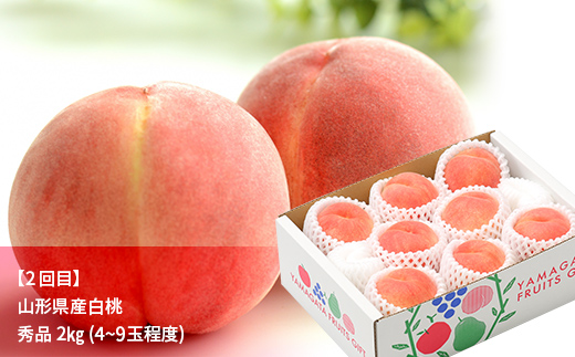 先行予約 2025年度発送【定期便3回】山形県産紅秀峰・白桃・シャインマスカット F4A-0388