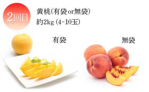 2026年度発送【定期便 3回】山形県産 実は人気な果物定期便 くだもの フルーツ さくらんぼ 紅秀峰 桃 もも ラ・フランス ラフランス 洋梨 梨 りんご サンふじ 山形県 中山町 F4A-0419