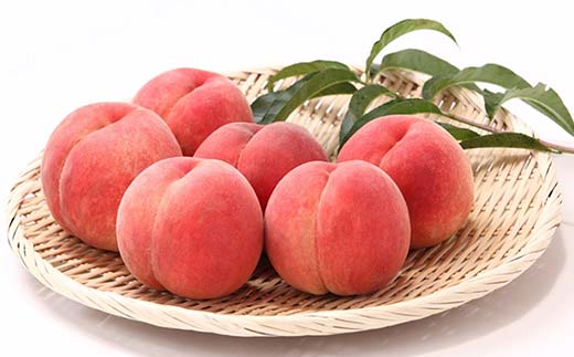 《2026年先行予約》どちらも食べたい！白桃と黄桃の食べ比べセット 約3kg（7～12玉） 桃 もも フルーツ 果物 くだもの 山形県 中山町 F4A-0430