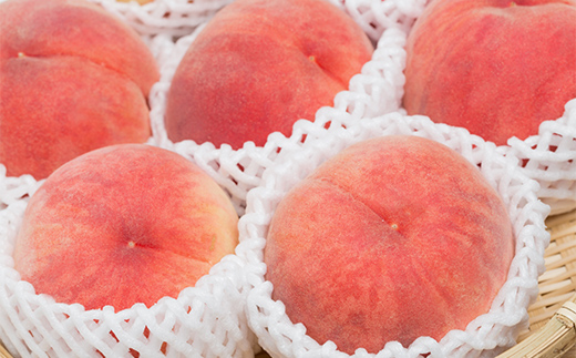  2026年先行予約 【定期便 3回】幸せ♪桃三昧 白桃 黄桃 果物 フルーツ 山形県 中山町 F4A-0444